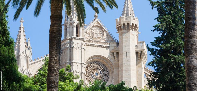 Visita guiada a la Catedral de Mallorca